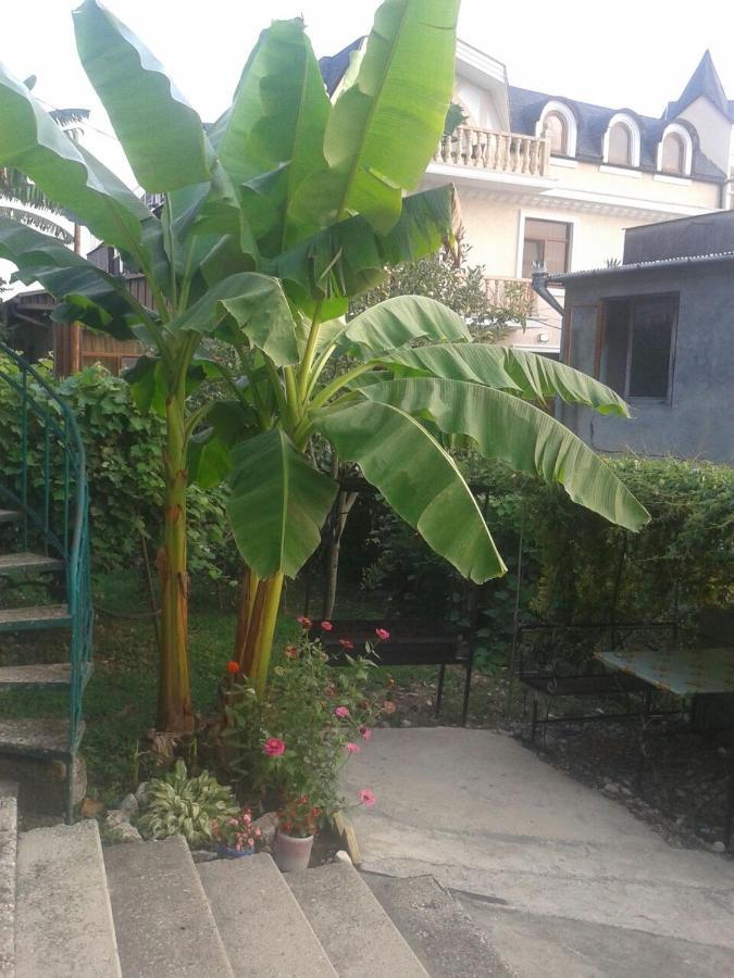 Guesthouse On Kabardinskaya 139A Gagra Exterior photo